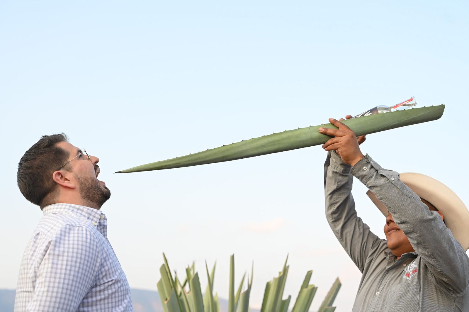 Un Día Completo de Mezcal