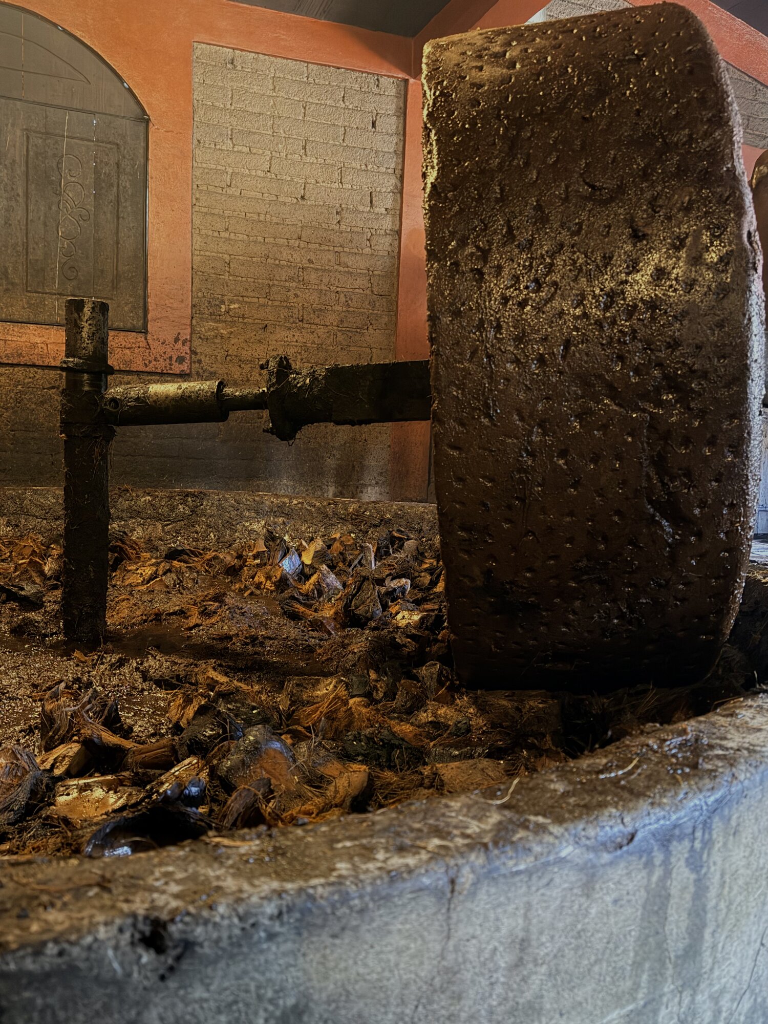 InsideHook: descubriendo espíritu y comunidad en el mezcal de Oaxaca